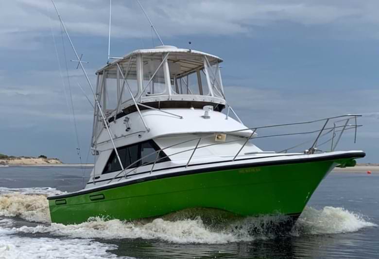 Things To Do Fillet and Release Fishing Charters